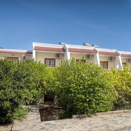 Pefkos Lemon Tree